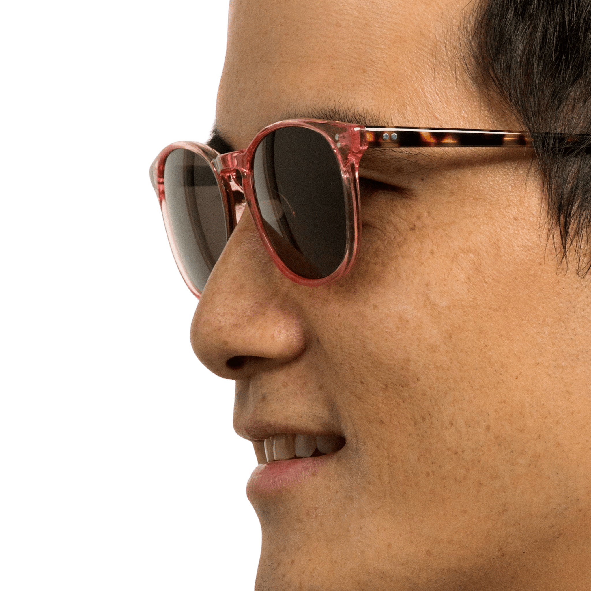 Rocket MTO P3 Classic Hibiscus Crystal & Fawn Tortoise with Brown Polarized Lenses (Tortoise Returns)