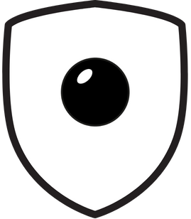 Lens Only Protection Plan