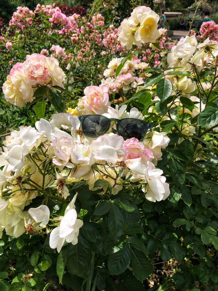 Stopping to smell the roses in Hyde Park with @mildredtao