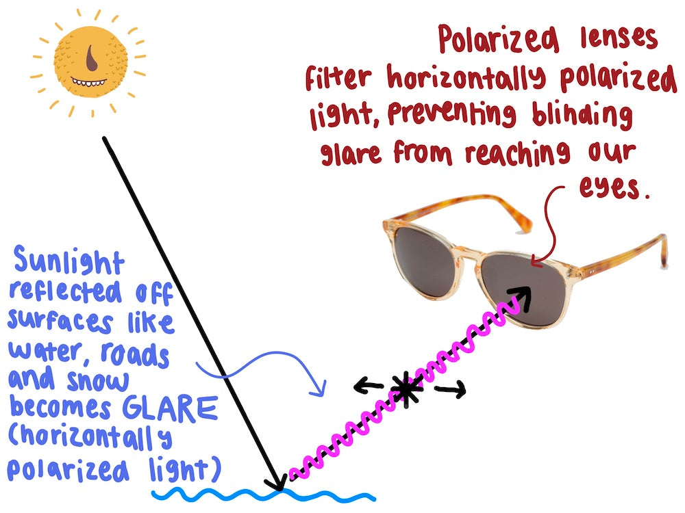 What is the difference between polarized and non-polarized lenses?