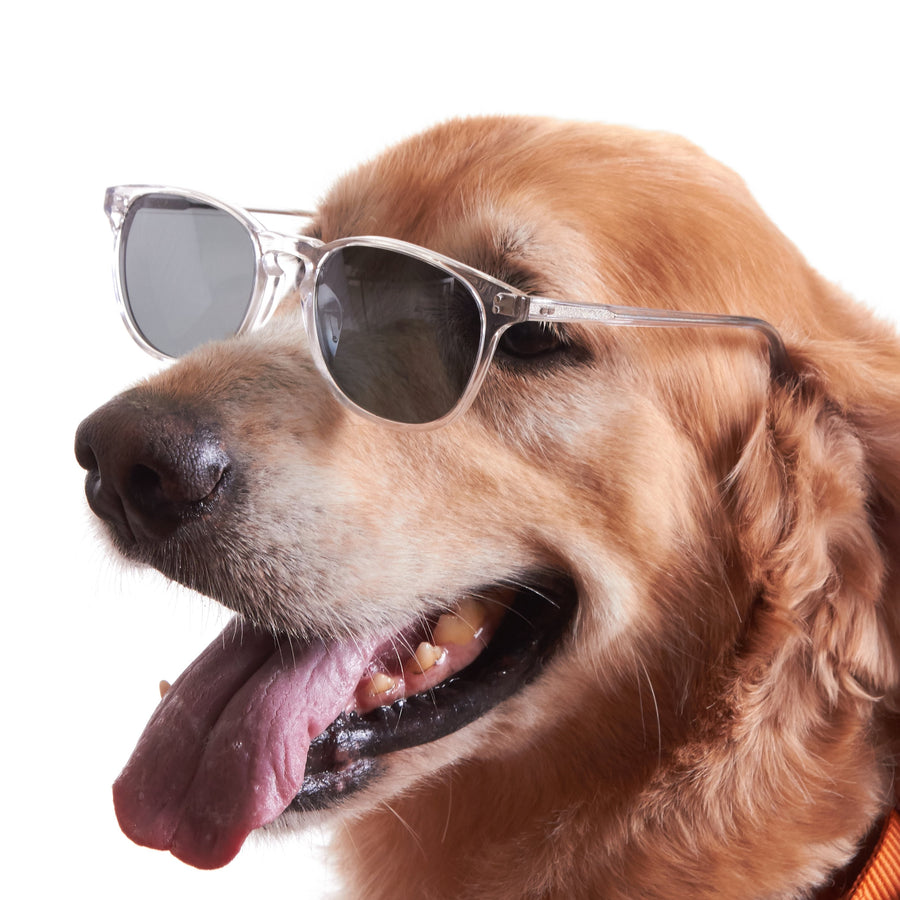 [Custom] Kelvin Eriksen's Replacement Rocket MTO P3 Classic Crystal with Grey Polarized Lenses (Launch Edition)