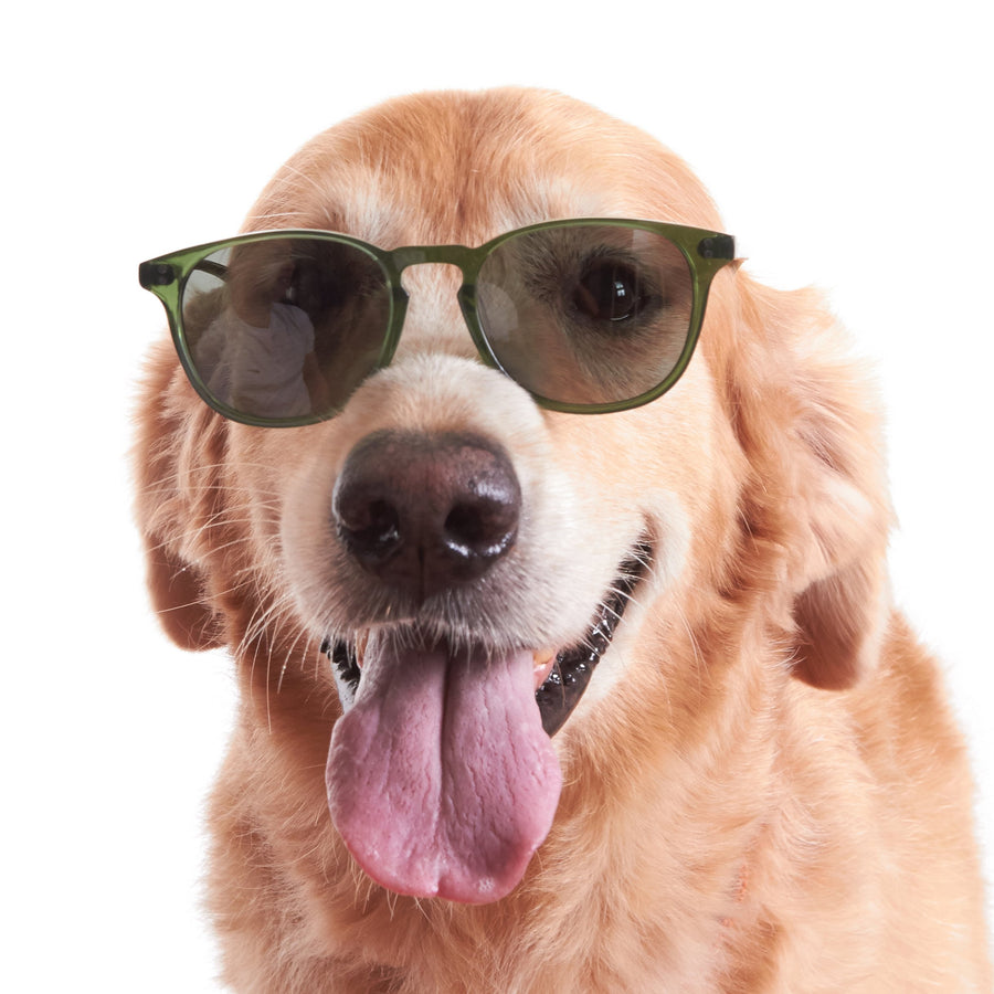 [Custom] Jeremy's Rocket MTO P3 Classic Hunter Green Clear with Green Prescription Polarized Lenses (Launch Edition)